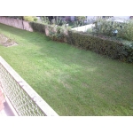 APPARTEMENT 5 PIECES SAVIGNY SUR ORGE 91