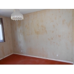PAVILLON SUR SOUS SOL VILLEMANDEUR