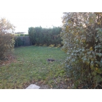 MAISONNETTE MONTCRESSON avec terrain