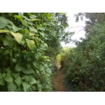 MAISON CHATILLON COLIGNY A RESTAURER