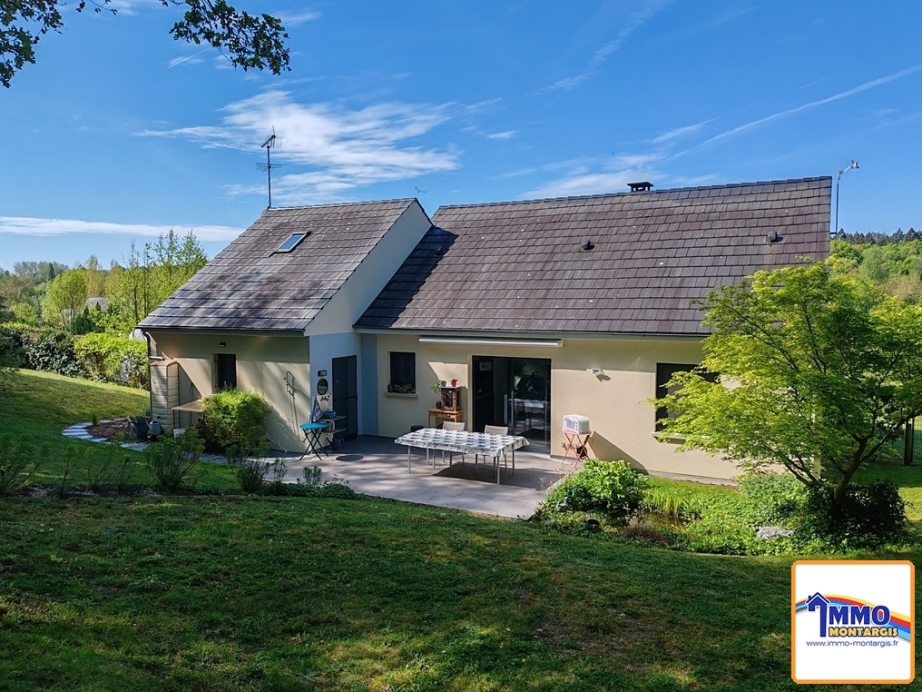 PAVILLON RECENT CONFLANS SUR LOING